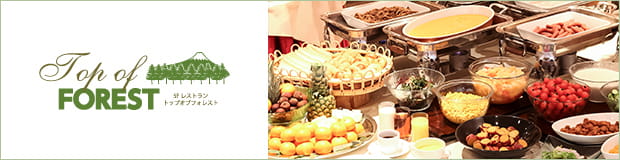 TOP OF FOREST イメージ